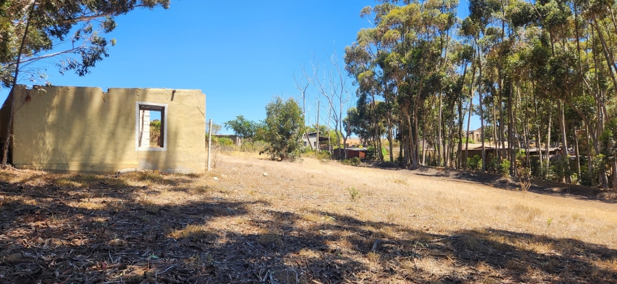 0 Bedroom Property for Sale in Napier Western Cape